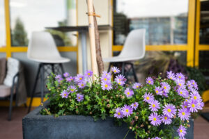 Thermal Cukrászda Sárvár